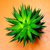 Image-square_50