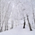 Image-square_50