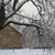 Image-square_50