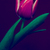 Image-square_50