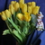 Image-square_50