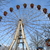 Image-square_50