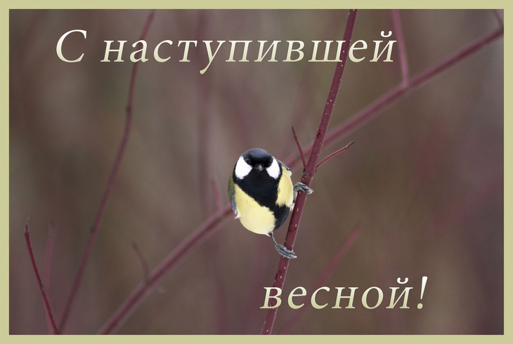 Image-normal