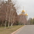 Image-square_50