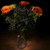 Image-square_50