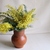 Image-square_50