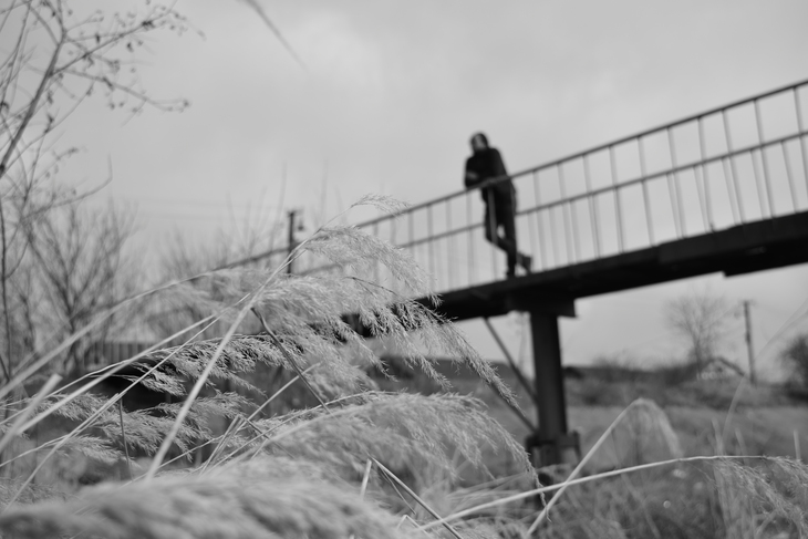 Image-normal