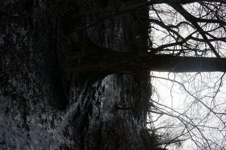 Image-normal