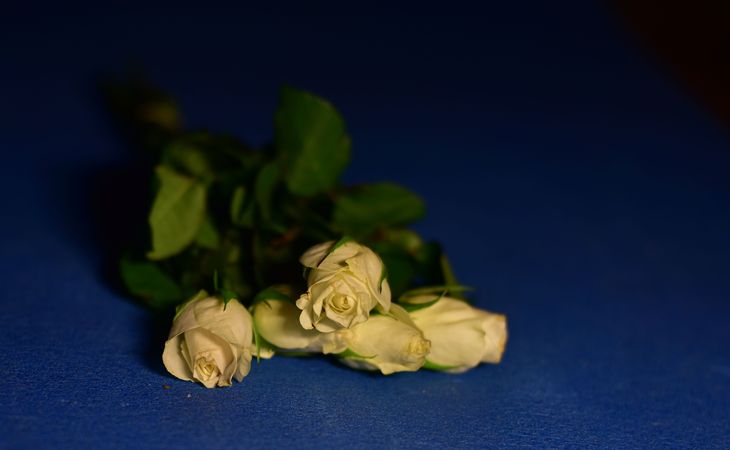 Image-normal