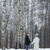 Image-square_50