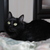 Image-square_50