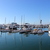 Image-square_50