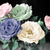 Image-square_50