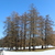 Image-square_50