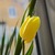 Image-square_50