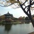 Image-square_50