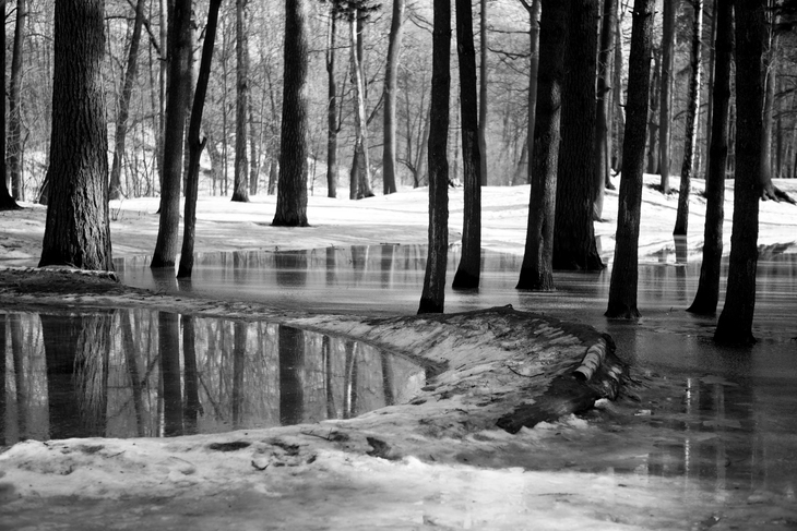 Image-normal