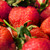 Image-square_50