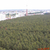 Image-square_50