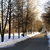 Image-square_50