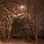 Image-square_50