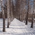 Image-square_50