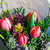 Image-square_50