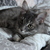 Image-square_50