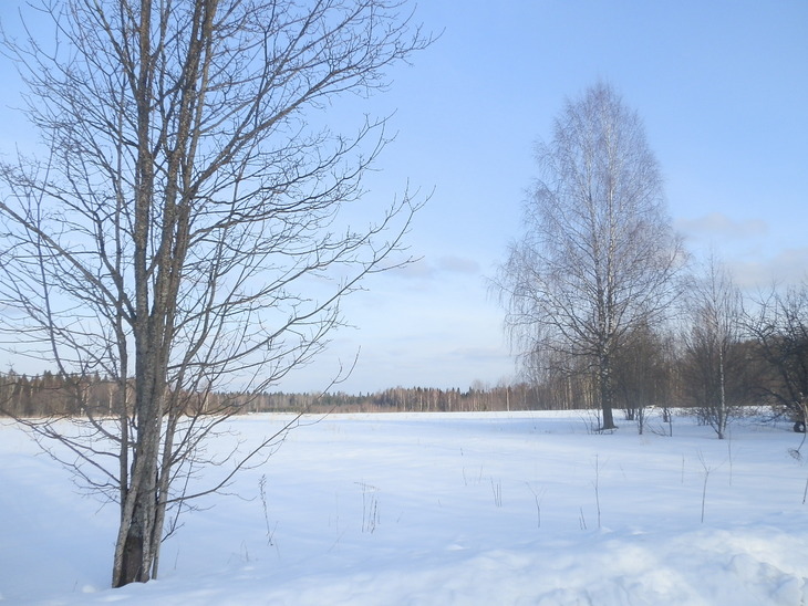 Image-normal