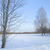 Image-square_50