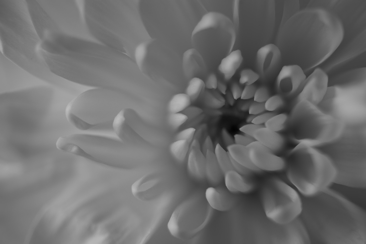 Image-normal