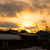 Image-square_50