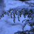 Image-square_50