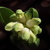 Image-square_50