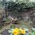 Image-square_50