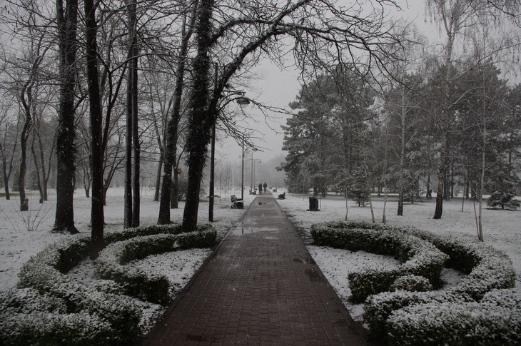 Image-normal