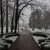 Image-square_50