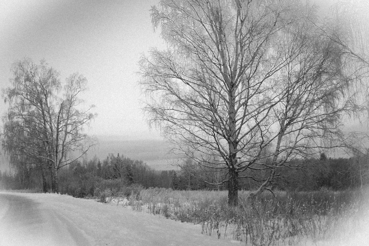Image-normal