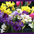 Image-square_50