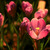 Image-square_50