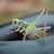 Image-square_50