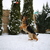 Image-square_50