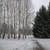 Image-square_50