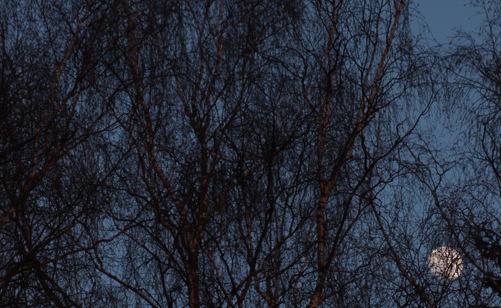 Image-normal