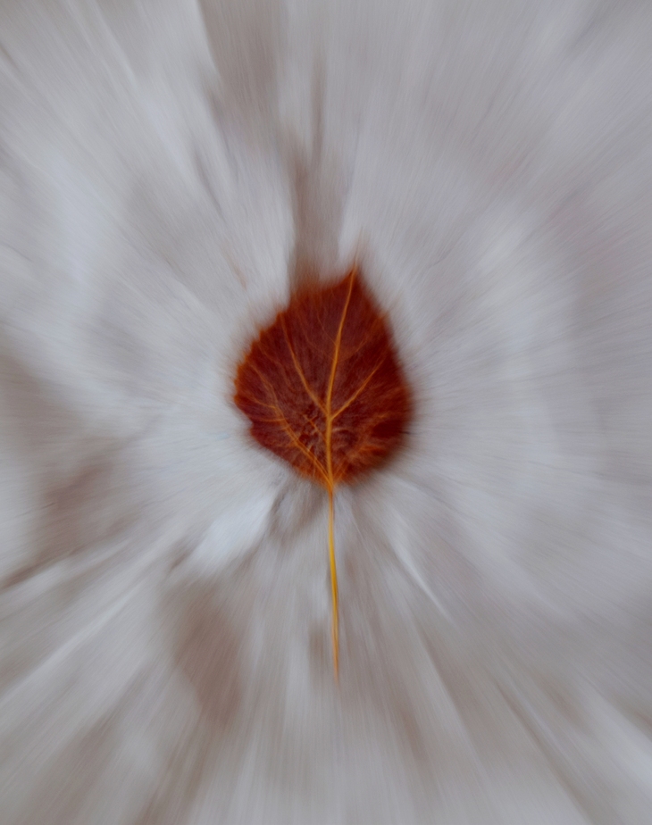 Image-normal