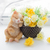 Image-square_50