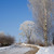 Image-square_50