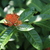 Image-square_50