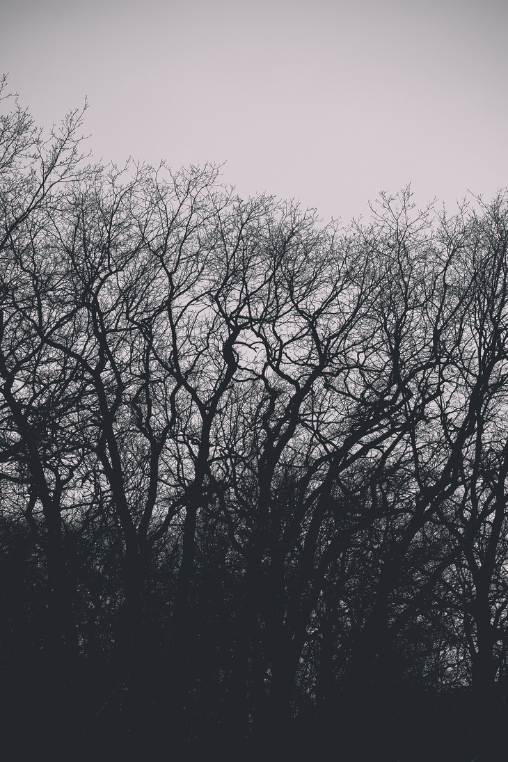 Image-normal
