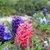 Image-square_50